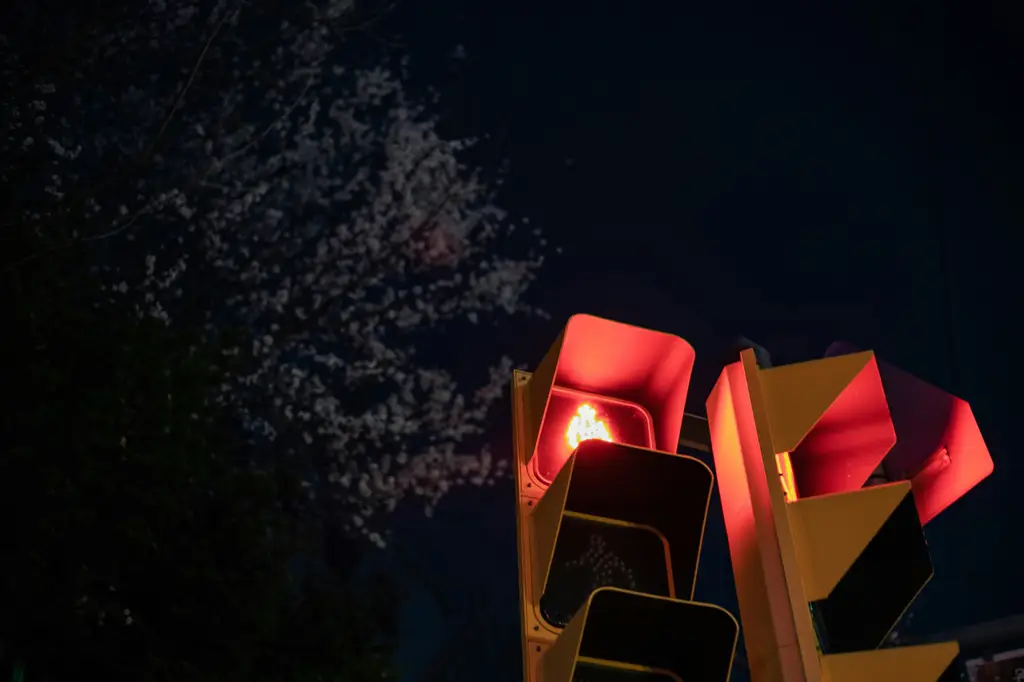 首爾明洞區:台灣人的購物天堂